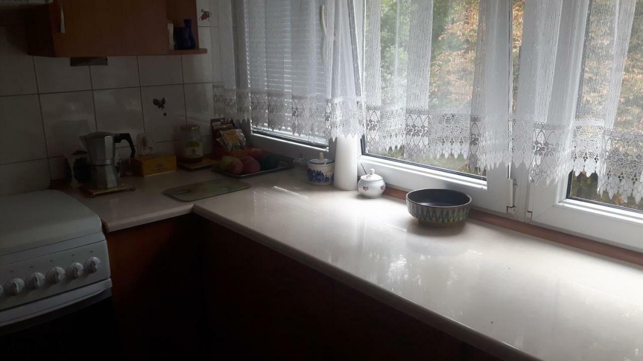 Apartament Motylek