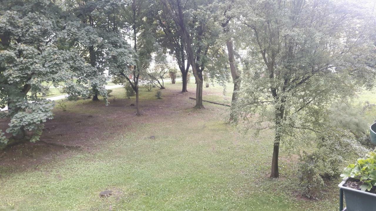 Apartament Motylek Łódź