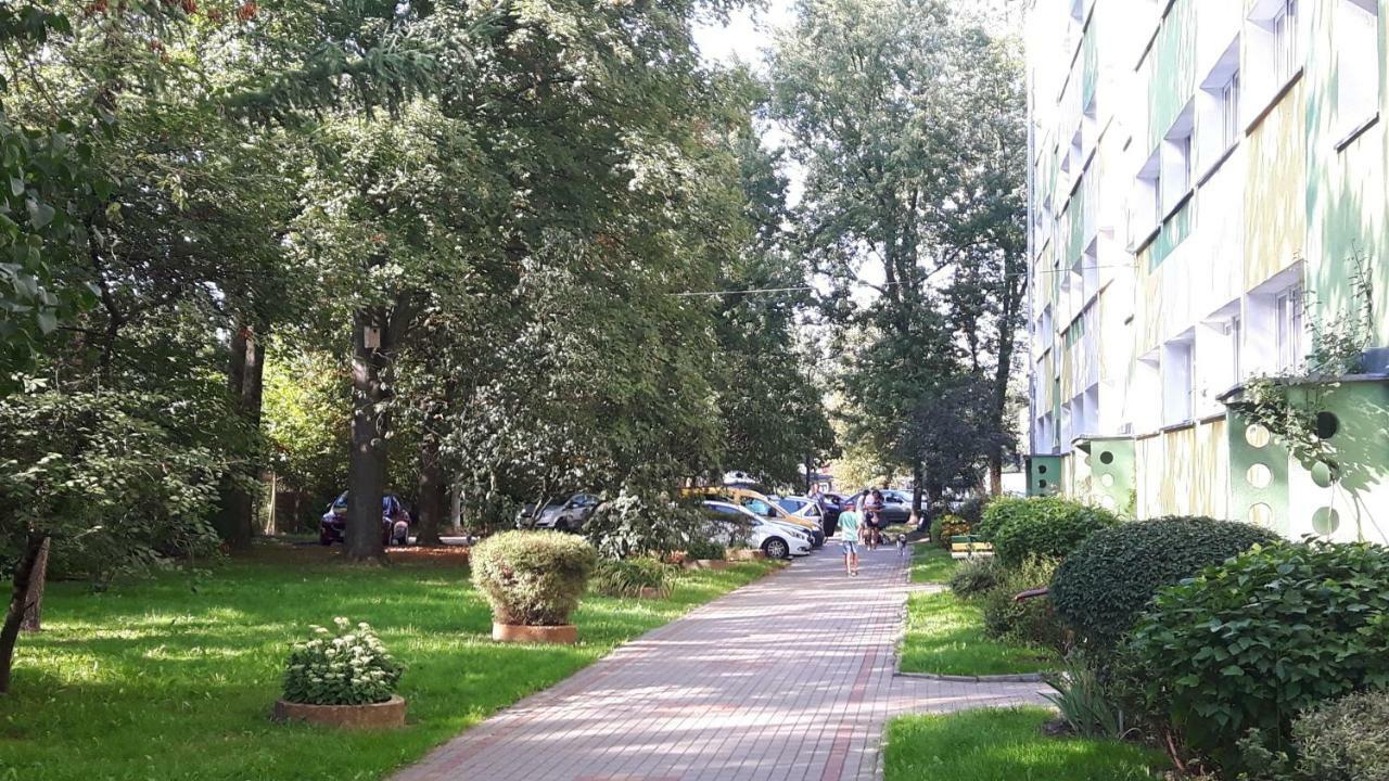Apartament Motylek Łódź